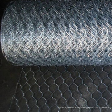 Hot Dipped Galvanized Hexagonal Wire Mesh for Poultry